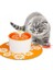Otomatik Kedi Su Çeşmesi Içme Oto Su Dağıtıcı Besleyici Köpek Su Kasesi Filtrelenmiş Pet Malzemeleri 1.6l Köpek Besleyici Drinker (Turuncu) - (Yurt Dışından) 2