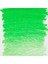 Desıgn Col.penc.lt Green 2