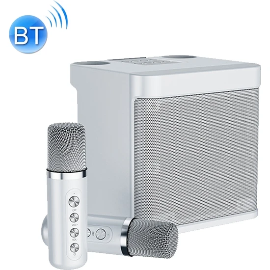 Zsykd Ys-203 Bluetooth Karaoke Hoparlör Kablosuz Mikrofon Gri (Yurt Dışından)