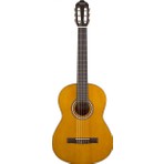 Valencia VC204 Klasik Gitar (Kılıf Hediyeli)