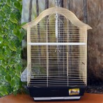 QH Pet Cage Pirinç Telli Kuş Kafesi 34,5x28x54,5 cm Kanarya ve Muhabbet Kuşları İçin