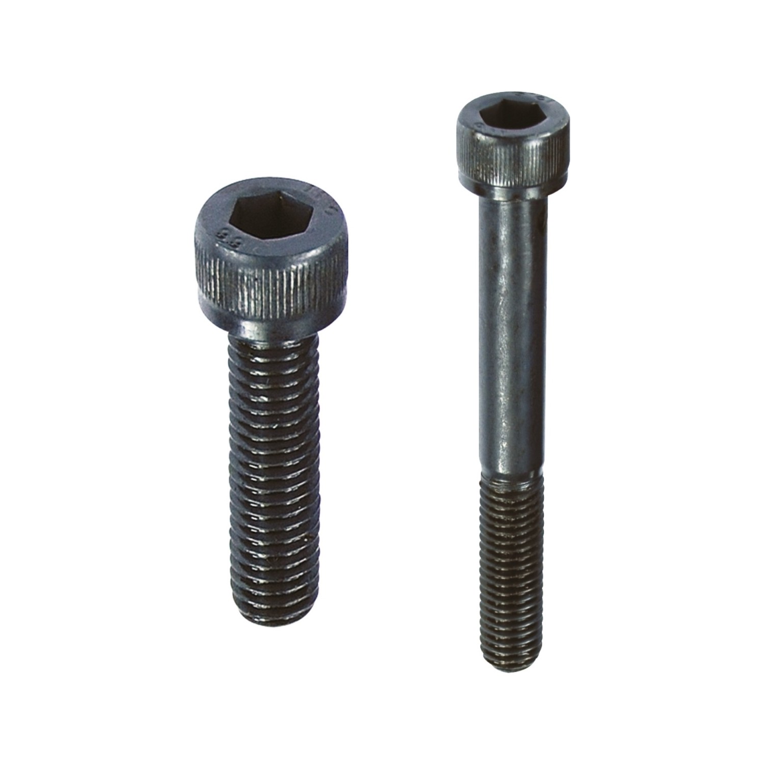 verzinkt Stahl 8.8 galv M10 x 90 mm 2 Stk Zylinderschrauben DIN 6912