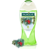 Palmolive Duş Jeli Akdeniz Bitkileri Yeşil 500 ml