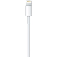 Apple USB-C - Lightning Kablosu (1 m) - MQGJ2ZM/A