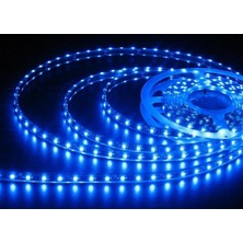 Tvet Şerit Led Dış Mekan 5 Metre Silikonlu 24 Volt Mavi