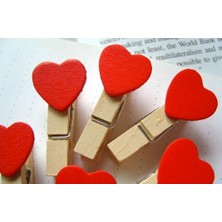 Klc Mini Kalpli Mandal