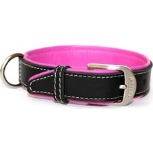 Wolters Leather Collar Terranova Flat 40Cm X 20Mm Sıyah/Ahududu