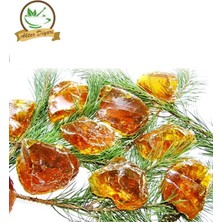 Aktar Diyarı Çam Sakızı 500 Gr