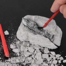 Anka Mumya Arkeolojik Kazı Seti