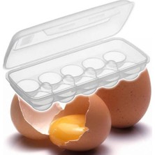 Anka Yumurta Saklama Kabı