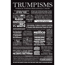 Pyramid International Maxi Poster Trumpisms Pp33998