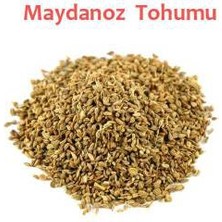 Memişoğlu Baharat Maydanoz Tohumu 100 gr