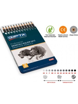 Gıpta Dereceli Kalem Seti