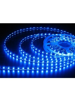 Tvet Şerit Led Dış Mekan 5 Metre Silikonlu 24 Volt Mavi