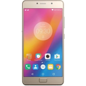 P2 (Lenovo Türkiye Garantili) Altın