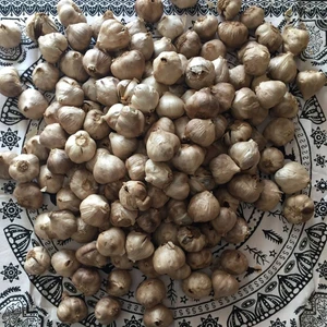 Siyah Sarımsak 600 Gr