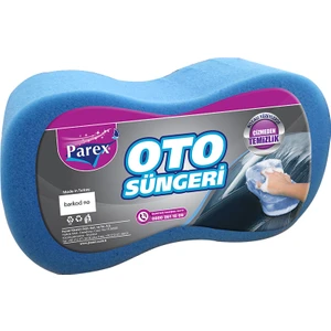 Oto Süngeri