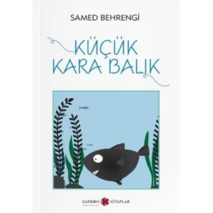 Küçük Kara Balık