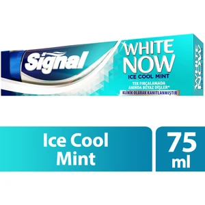 White Now Ice Cool Mint Diş Macunu 75 ml