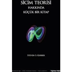 Sicim Teorisi Hakkında Küçük Bir Kitap - Steven S. Gubser