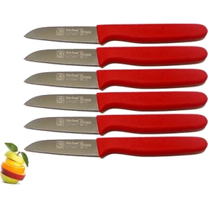 Sürmene 061007 Meyve Bıçağı 6 Lı Set 11 Renk Seçeneği