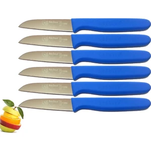 Sürmene 061007 Meyve Bıçağı 6 Lı Set 11 Renk Seçeneği