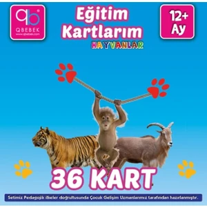 Q Bebek Eğitim Kartlarım: Hayvanlar 24+Ay