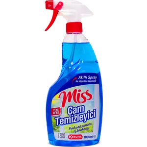 Cam Temizleyici 1000 ml