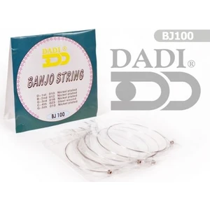 Banjo Takım Tel BJ100