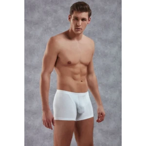 1770 Adonis Boxer