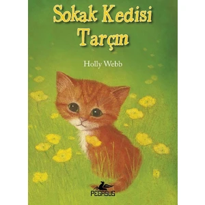 Sokak Kedisi Tarçın