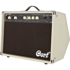 AF30 Çift Girişli Akustik Gitar Amfisi 30 Watt