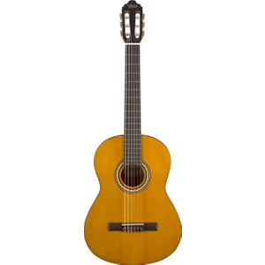 VC204 Klasik Gitar (Kılıf Hediyeli)