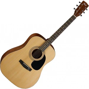 Ad810Opw Akustik Gitar (Cort Kılıflı)
