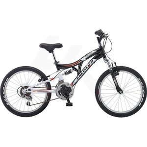Hector 20 Bisiklet