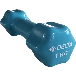 1 Kg x 1 Adet Deluxe Pvc Kaplama Turkuaz Demir Dambıl