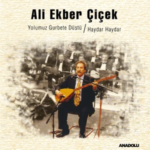 Ali Ekber Çiçek - Yolumuz Gurbete Düştü / Haydar Haydar (Plak)