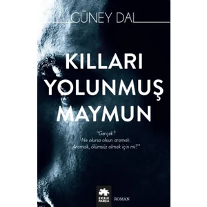 Kılları Yolunmuş Maymun - Güney Dal
