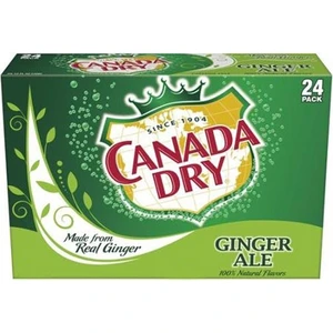 Canada Dry Ginger Ale İçecek 24Lü Paket