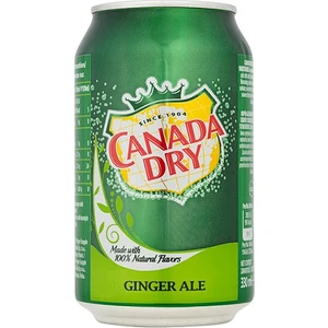 Canada Dry Ginger Ale İçecek 330 ml