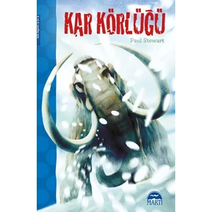 Kar Körlüğü