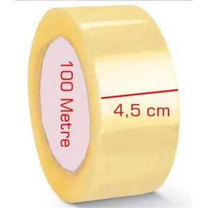 Koli Banti 100 Metre 091640