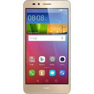 GR5 16GB Altın