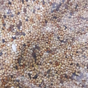 Kuş Üretici Muhabbet Yemi 5 Kg Ambalajda