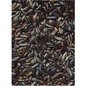 Yeşil Boncuk Nijer Tohum 600 Gr