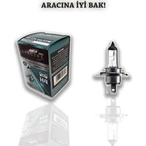 H4 12V 60/55W 12342Sp