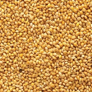 My Yem Sarı Darı 25Kg