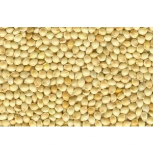 My Yem Beyaz Darı 25Kg