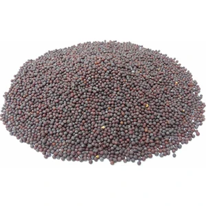 Memişoğlu Baharat Hardal Tohumu Siyah 1 kg