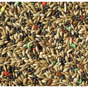 Memişoğlu Baharat Kanarya Yemi 500 gr